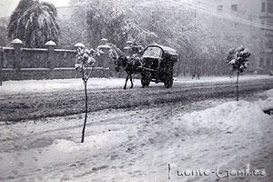 Nevada en Santa Filomena