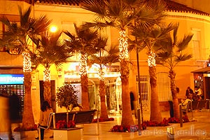 Palmeras de Navidad
