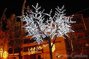 Almendro en flor