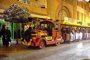 Tren Navideo para pequeos y mayores