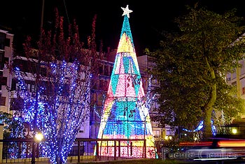 Arbol de navidad