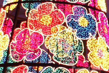 Flores de colores