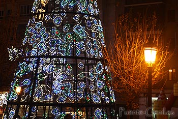 rbol de navidad