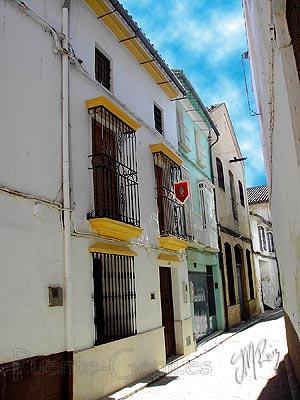 Grupo de las Autoridades Judicas, La Judea