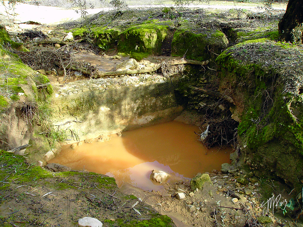 Presa Romana